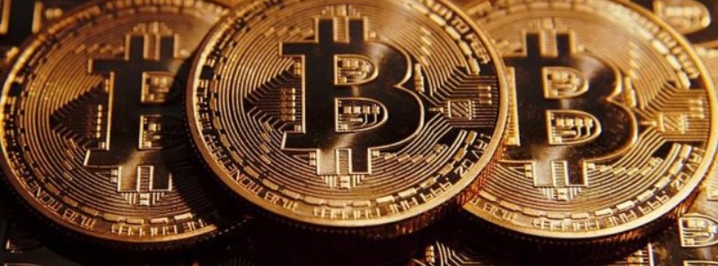How to Know the Right Bitcoin Wallet